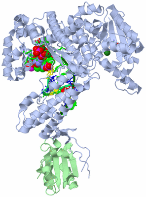 Image Asym./Biol. Unit - sites