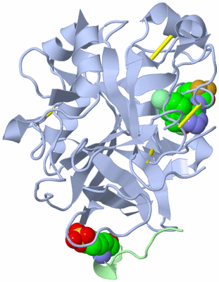 Image Asym./Biol. Unit