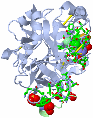 Image Asym./Biol. Unit - sites