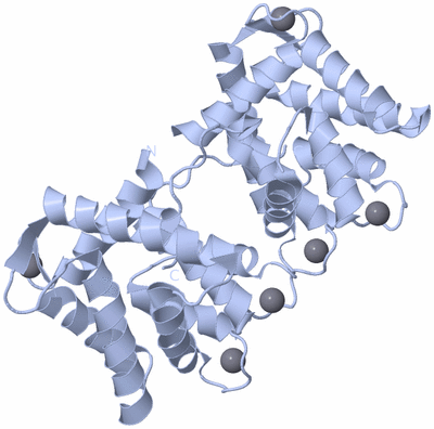 Image Biological Unit 2