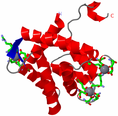 Image Asym. Unit - sites