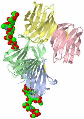 Image Asymmetric Unit