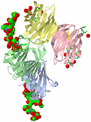 Image Asym. Unit - sites