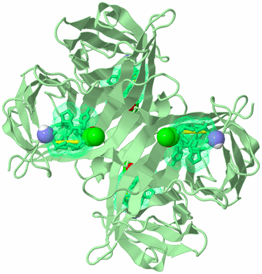 Image Biological Unit 1