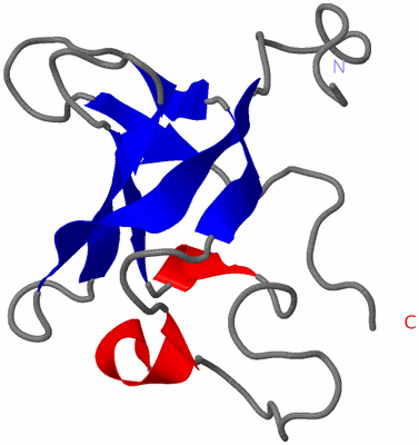 Image NMR Structure - model 1