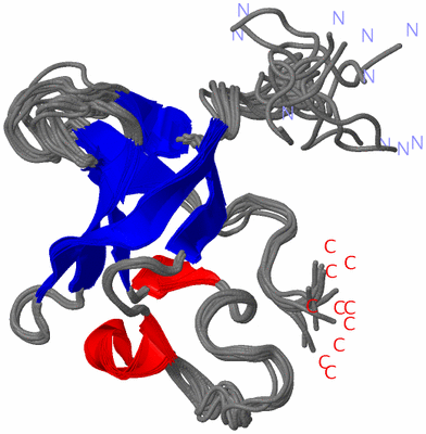 Image NMR Structure - all models