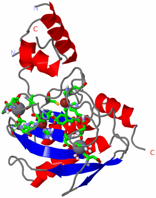 Image Asym. Unit - sites