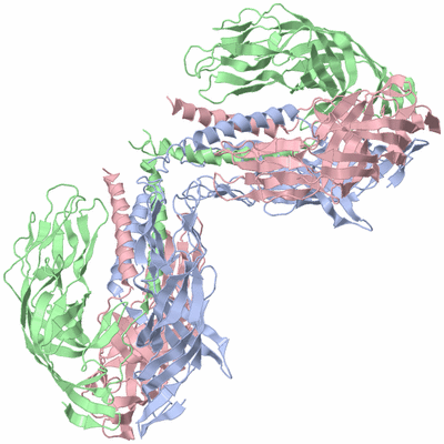 Image Biological Unit 4