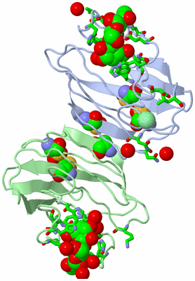 Image Biol. Unit 1 - sites