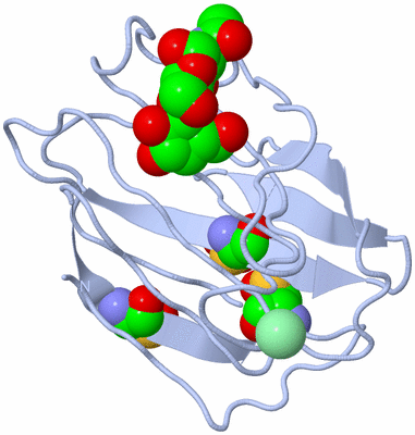 Image Biological Unit 2