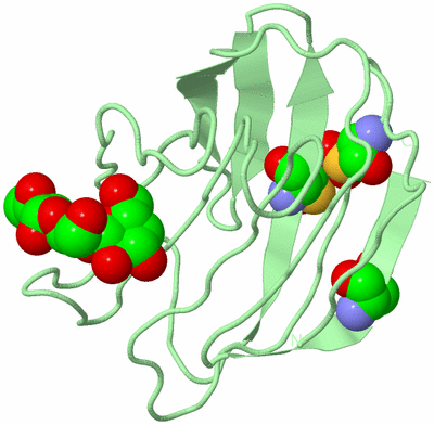 Image Biological Unit 3