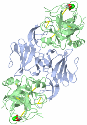 Image Biological Unit 1