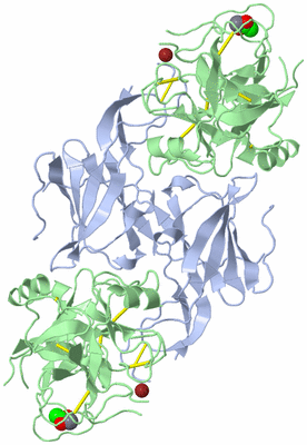 Image Biological Unit 1