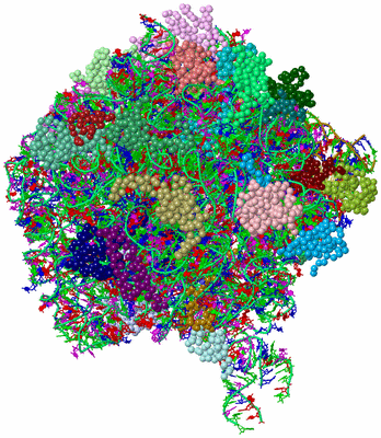 Image Asym./Biol. Unit