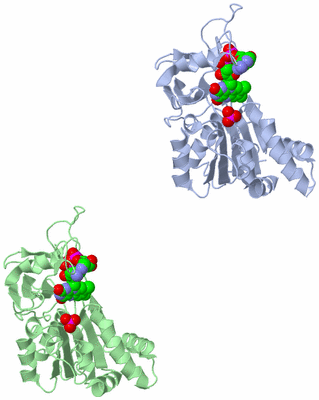 Image Asymmetric Unit