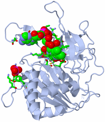 Image Biol. Unit 1 - sites