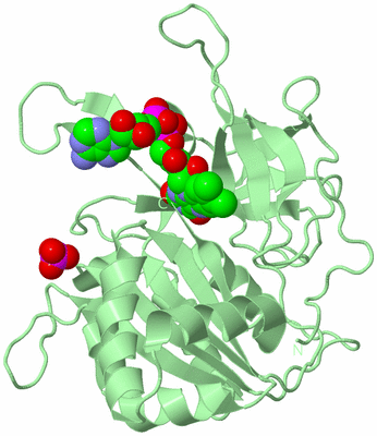 Image Biological Unit 2