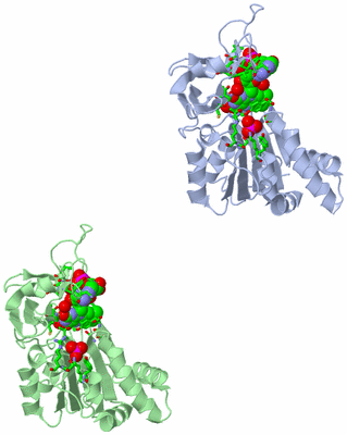 Image Asym. Unit - sites