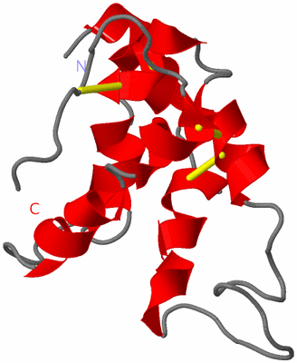 Image NMR Structure - model 1