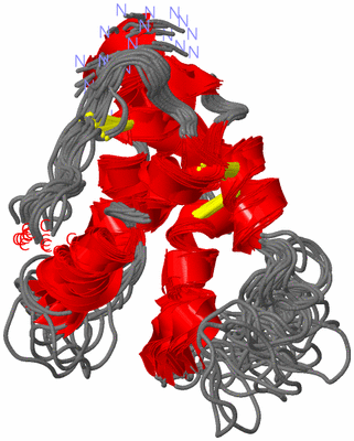 Image NMR Structure - all models