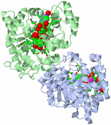 Image Biol. Unit 1 - sites