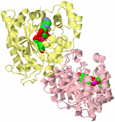 Image Biological Unit 2