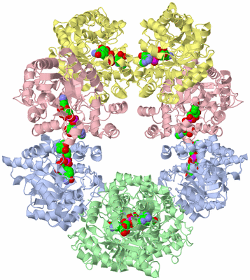 Image Biological Unit 3