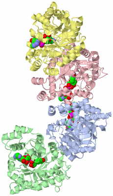 Image Biological Unit 4