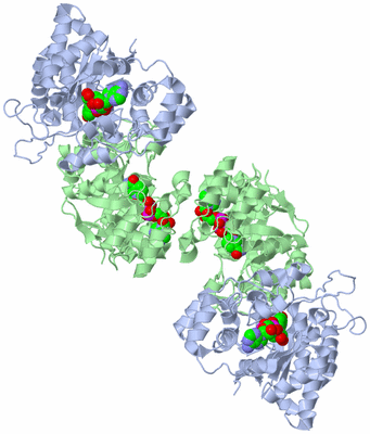 Image Biological Unit 5