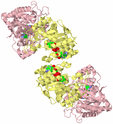 Image Biological Unit 6