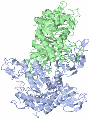 Image Asym./Biol. Unit