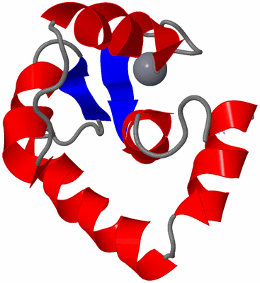 Image NMR Structure - model 1