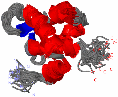 Image NMR Structure - all models