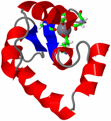 Image NMR Structure - model 1, sites