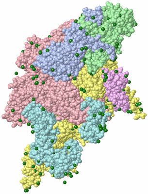 Image Biological Unit 1