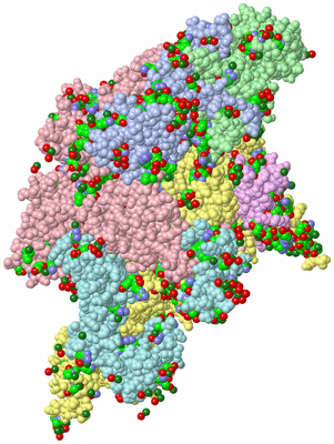 Image Biol. Unit 1 - sites