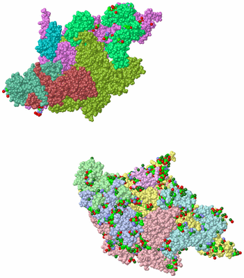 Image Asym. Unit - sites