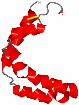 Image NMR Structure - model 1