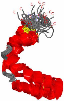 Image NMR Structure - all models