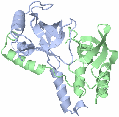 Image Biological Unit 2