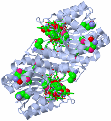 Image Biol. Unit 1 - sites