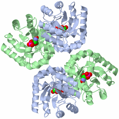 Image Biological Unit 2