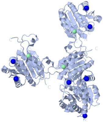 Image Biological Unit 1