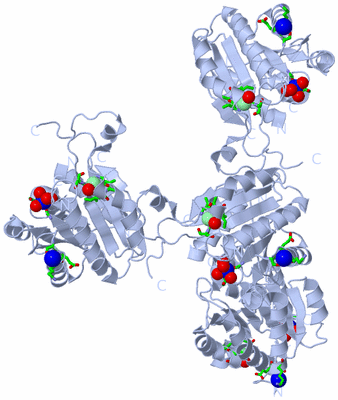 Image Biol. Unit 1 - sites