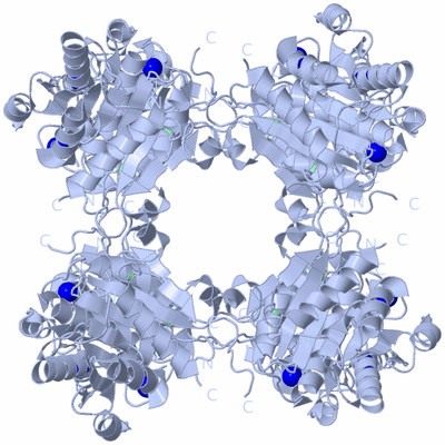 Image Biological Unit 2