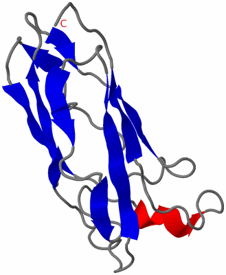 Image NMR Structure - model 1