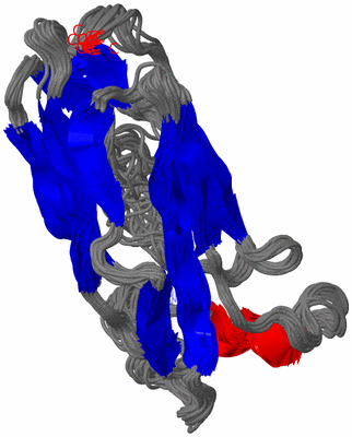 Image NMR Structure - all models