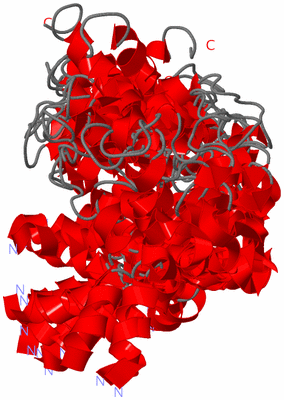 Image NMR Structure - all models