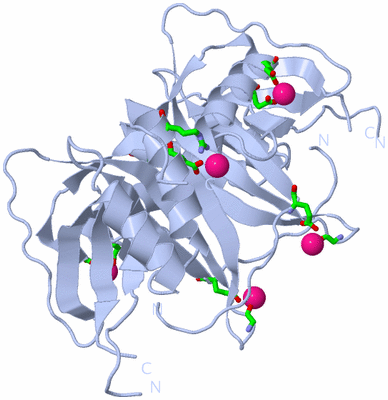 Image Biol. Unit 1 - sites