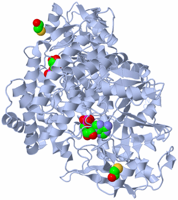 Image Biological Unit 1